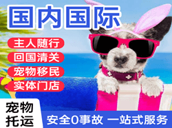 二连浩特赛乌素航空快递国际宠物托运 【国
